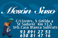 meson suso